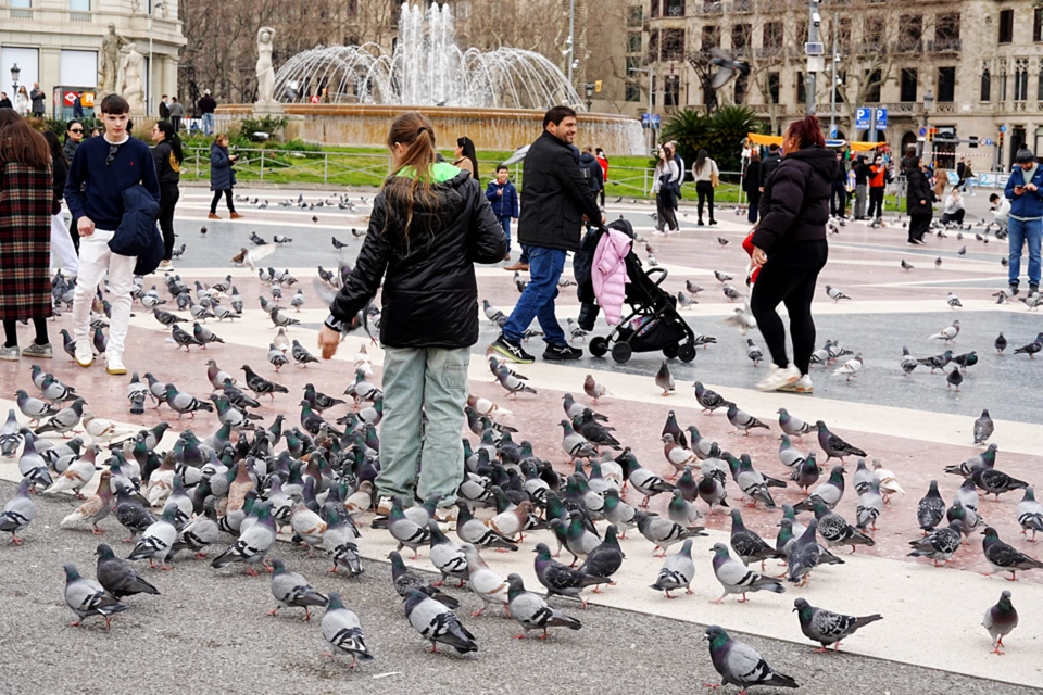 Plaça de Catalunya